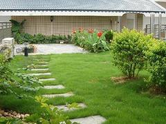 信譽好的屋頂綠化,提供專業(yè)的屋頂綠化-福州御景園環(huán)保科技提供信譽好的屋頂綠化,提供專業(yè)的屋頂綠化的相關(guān)介紹、產(chǎn)品、服務(wù)、圖片、價格庭院設(shè)計、福州植物墻、福州屋頂綠化、福州墻體美化裝飾、福州仿真植物墻、福州辦公綠化、